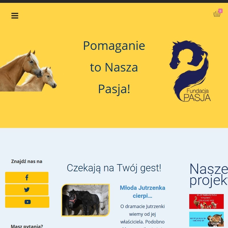 Ratowanie koni adopcja