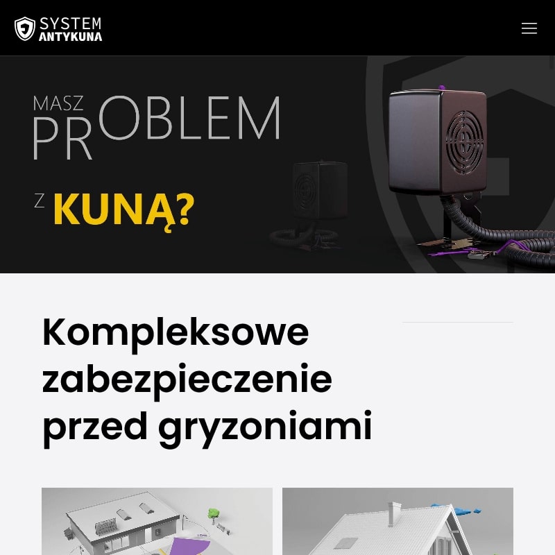 Jak pozbyć się kuny ze strychu